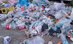 Kastamonu'nun ilçesindeki bu sahil çöplüğe döndü!