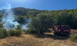 Kastamonu'nun en fazla turist çeken ilçesinde orman yangını çıktı!