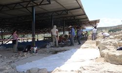 Son dakika: Taşköprü'de Pompeiopolis Antik Kenti’nde 2025 yılı kazı sezonu start aldı