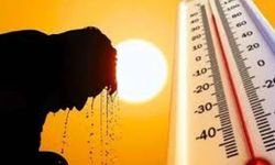 Sağlık Bakanlığı'ndan sıcak uyarısı: Risk grubunda olanlar dikkat!