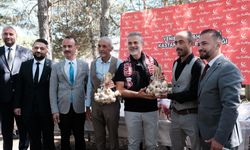Kastamonu'ya geldi: Eski Bakan Suat Kılıç’tan Kastamonu ziyareti