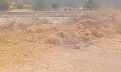 Kastamonu Tosya’da Kuru Saman Tehlikesi! Mahalle Halkı Yetkililere Seslendi