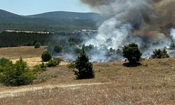 Taşköprü’de alarm: 2 günde 10 yangın! Taşköprü güne 2 yeni yangın ihbarıyla uyandı