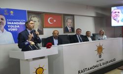 AK Parti Genel Başkan Yardımcısı Demir: 'Kastamonu nasıl CHP olabilir?'