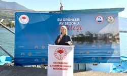 Kastamonu Milletvekili Ekmekci: 'Ciddi adımlar atıldı'