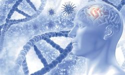 Bilim insanları açıkladı: Alzheimer riskini anında azaltıyor!