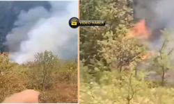 Kastamonu’da Yayla Evinde Yangın Çıktı!