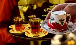 Dikkat: Tavşan kanı çay kanser yapıyor!