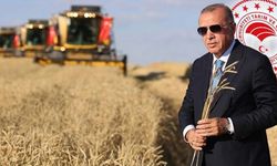 Kastamonulu çiftçide etkilendi: Cumhurbaşkanı Erdoğan'dan çiftçiye müjde var!