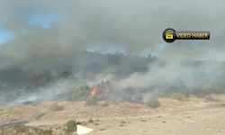 Son dakika: Kastamonu’da orman yangını çıktı