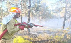 Kastamonu'da orman yangını çıktı: Yangına helikopterli müdahale