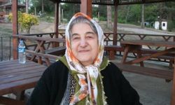 Hamide Aksoy 09.08.2025 tarihinde Kastamonu'da vefat etti