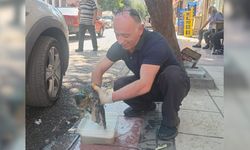 Her Cumartesi Taşköprü’de sokak hayvanlarına özel bakım etkinliği