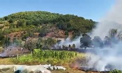 Kastamonu'nun bölgesi alev alev!