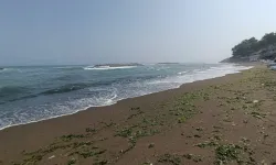 Karadeniz'e kıyısı bulunan iki şehirde yasaklandı