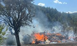 Kastamonu’da Bahçe Yangını: Ekipler Alevleri Hızla Söndürdü