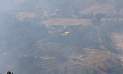 Kastamonu da destek verdi: Feci orman yangını kontrol altına alındı!