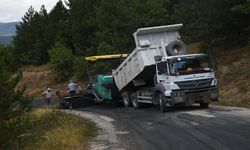 Kastamonu İl Özel İdaresi, 10 damperli kamyon arıyor!