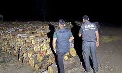 Kastamonu ormanlarında gece mesaisi devam ediyor