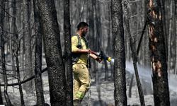 Kastamonu ve çevresinde orman yangını riski artıyor!