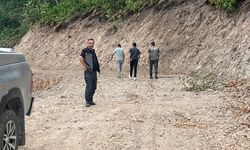 Kastamonu'da orman yolları bir bir tamamlanıyor!