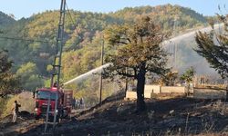 Kastamonu’da peş peşe orman yangınları: 5 samanlık kül oldu