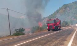 Kastamonu'da tarlada çıkan yangın samanlığı küle çevirdi!