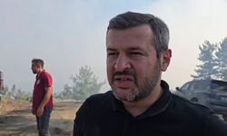 Kastamonulu başkan orman yangını bölgesinde!