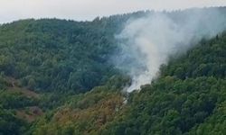 Kastamonu’nun ilçesinde orman yangını paniği: Erken ihbar büyük tehlikeyi önledi