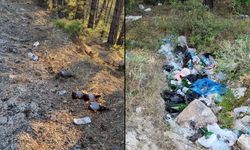 Kastamonu’nun İstiklal Yolu Çöplüğe Döndü: Tehlike Kapıda