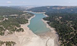 Kastamonu'nun su ihtiyacını karşılayan barajda su seviyesi düştü!