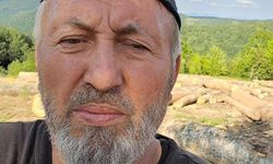 Kastamonu sahasında ayağına tomruk düştü, kalp krizi geçirip öldü