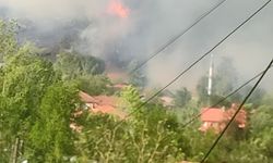 Komşu ildeki orman yangınında alevler yerleşim yerini tehdit ediyor