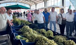 Kastamonu Milletvekili Ekmekci: 'Bereketli tezgahların coşkusunu paylaştık'