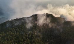 Kastamonu'nun komşu ilinde orman yangını!