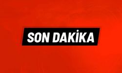 Son dakika: Kastamonu'da yaşamına son vermek için vincin üzerine çıktı!