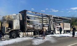 Tosya D100’de Dehşet Anları: Seyir Halindeki Tır Alev Topuna Döndü! (Detaylar)