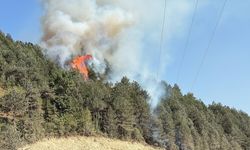 Kastamonu'dan ekiplerde yola çıktı: Müdahale sürüyor!