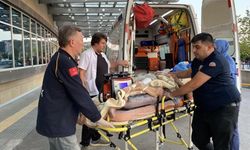 Motosiklet kazasında ağır yaralanan sürücüden acı haber: Hayatını kaybetti