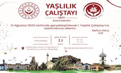 Kastamonu’da '1. Yaşlılık Çalıştayı' Düzenlenecek