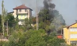 Yine komşu il: Otluk alanda çıkan yangın son anda önlendi!
