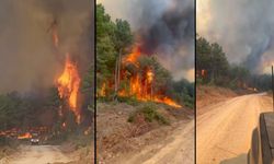 Gönüllüler Sahada: Araç’taki Yangına Offroad Araçlarıyla Destek