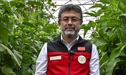 Bakan Yumaklı duyurdu: Kastamonu'da yeni bitki türü keşfedildi