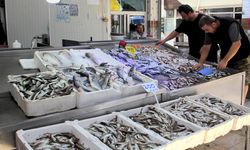 Balık tezgaha geldi: Fiyatlar cep yakıyor!