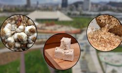 Başkent’te Kastamonu Rüzgarı Esecek!