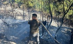 Doğanyurt’ta Yangın Çıktı: Kastamonu Orman Bölge Müdürlüğü Uyardı!