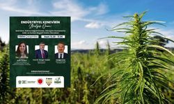Endüstriyel Kenevirin Stratejik Rolü Ankara’da Ele Alınıyor