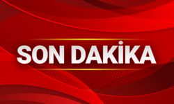 İmamı Ayı Sandı, Tüfekle Ateş Etti: Hayati Tehlikesi Sürüyor