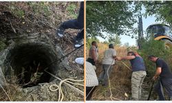 Kastamonu’da İnek Su Kuyusuna Düştü: Ekipler Seferber Oldu