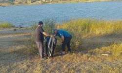 Kamp için geldiler, Kastamonu’daki göleti çöplerden arındırdılar